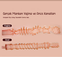 Do it Love - Little Darling - Realistik Kalça Medium - Vajina ve Anüs Girişleri - Bronz Ten - 18cm